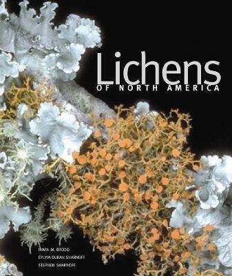 Lichens of North America - Irwin M. Brodo,Sylvia Duran Sharnoff,Stephen Sharnoff - cover