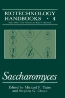 Saccharomyces - cover