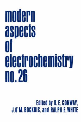 Modern Aspects of Electrochemistry: Volume 28 - cover