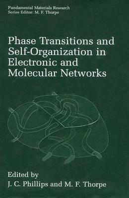 Phase Transitions and Self-Organization in Electronic and Molecular Networks - cover