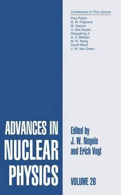 Advances in Nuclear Physics: Volume 26 - cover