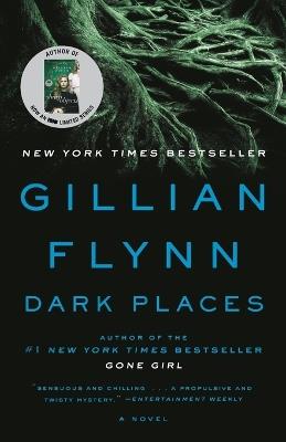 Dark Places: A Novel - Gillian Flynn - cover