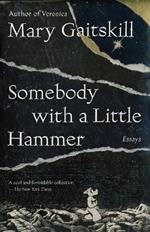Somebody with a Little Hammer: Essays
