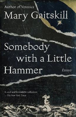 Somebody with a Little Hammer: Essays - Mary Gaitskill - cover