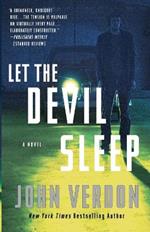 Let the Devil Sleep (Dave Gurney, No. 3): A Novel