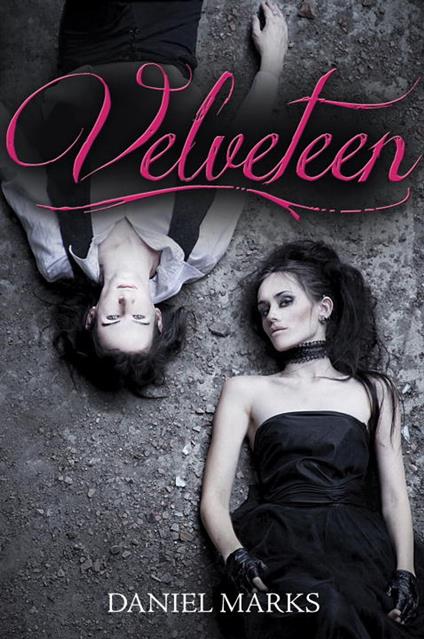 Velveteen - Daniel Marks - ebook