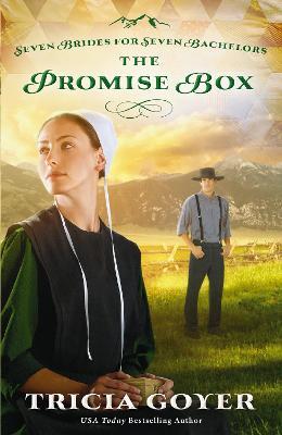 The Promise Box - Tricia Goyer - cover