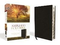 Amplified Holy Bible, Bonded Leather, Black, Thumb Indexed: Captures the Full Meaning Behind the Original Greek and Hebrew - cover