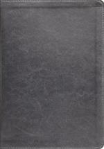 ESV, Thompson Chain-Reference Bible, Leathersoft, Gray, Red Letter, Thumb Indexed