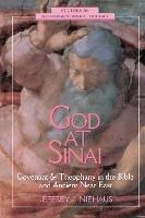 God at  Sinai: Covenant and Theophany in the Bible and Ancient Near East