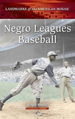 Negro Leagues Baseball - Roger Bruns - cover