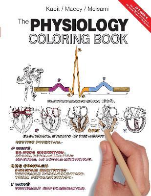 Physiology Coloring Book, The - Wynn Kapit,Robert Macey,Esmail Meisami - cover