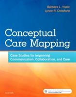 Conceptual Care Mapping: Case Studies for Improving Communication, Collaboration, and Care - Barbara L Yoost,Lynne R Crawford - cover