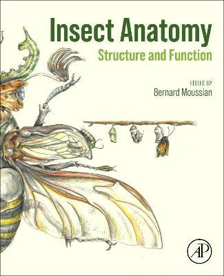 Insect Anatomy: Structure and Function - cover