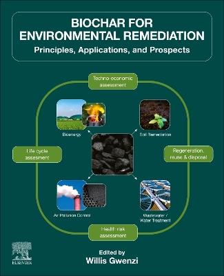 Biochar for Environmental Remediation: Principles, Applications, and Prospects - cover