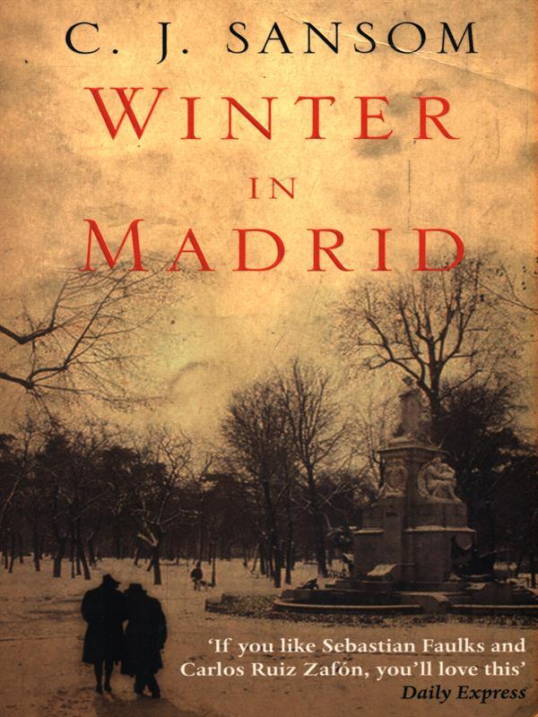 Winter in Madrid