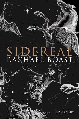 Sidereal - Rachael Boast - cover