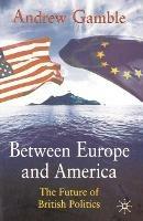 Between Europe and America: The Future of British Politics - cover