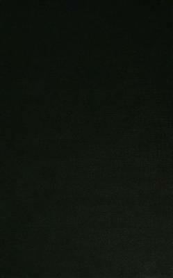 Institutions and Economic Organisation in the Advanced Economies: The Governance Perspective - cover