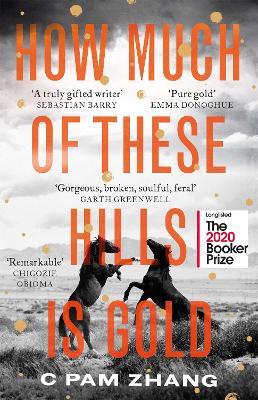 How Much of These Hills is Gold: ‘A tale of two sisters during the gold rush … beautifully written’ The i, Best Books of the Year - C Pam Zhang - cover