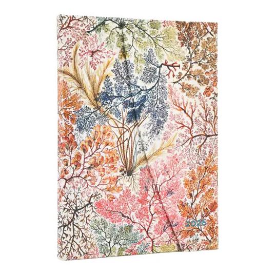 Agenda Paperblanks, 2026 Anemone 12 mesi Midi, orizzontale