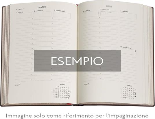 Agenda Paperblanks, 2026 Michelangelo, Handwriting 12 mesi Midi, orizzontale - 4