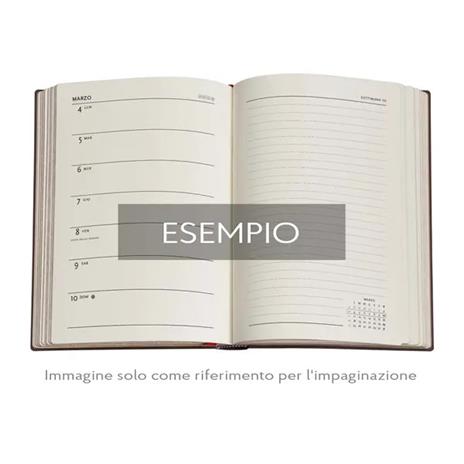 Agenda Paperblanks, 2026 Michelangelo, Handwriting 12 mesi Midi, VSO - 5