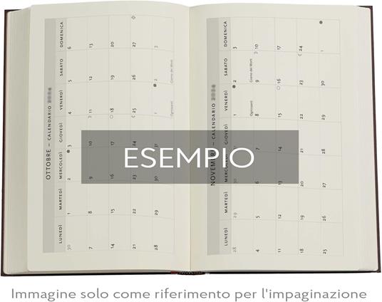 Agenda Paperblanks, 2026 Blue Luxe 12 mesi Maxi, VSO - 5