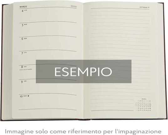 Agenda Paperblanks, 2026 Porto 12 mesi Maxi, VSO - 4