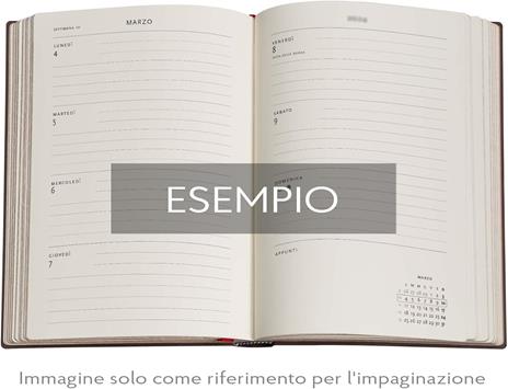 Agenda accademica Paperblanks, 2026 Blue Luxe 18 mesi Flex Midi, orizzontale - 4