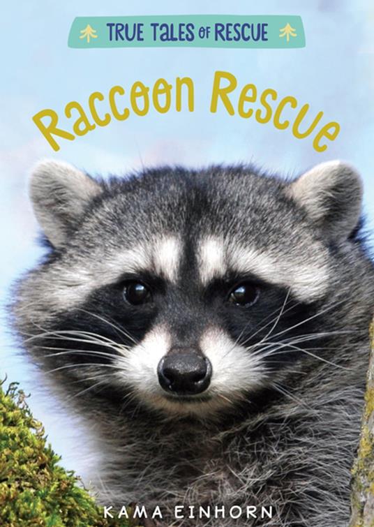 Raccoon Rescue - Kama Einhorn - ebook