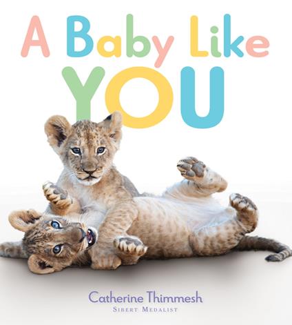 A Baby Like You - Catherine Thimmesh - ebook