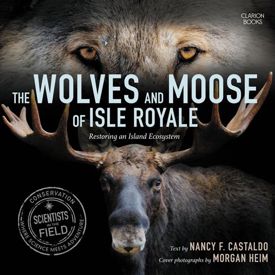 The Wolves And Moose Of Isle Royale