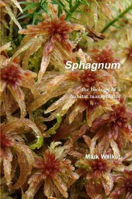 Sphagnum - Mark Walker - cover