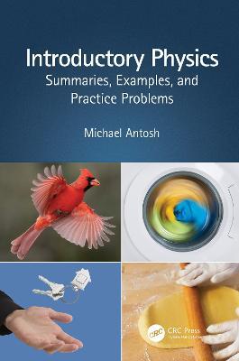 Introductory Physics: Summaries, Examples, and Practice Problems - Michael Antosh - cover