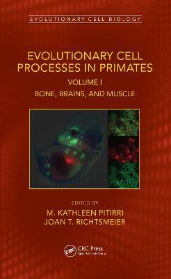 Evolutionary Cell Processes in Primates: Bone, Brains, and Muscle, Volume I - cover