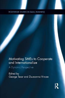 Motivating SMEs to Cooperate and Internationalize: A Dynamic Perspective - George Tesar,Zsuzsanna Vincze - cover