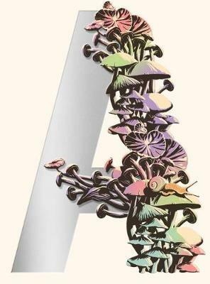 Ambergris - Vandermeer - cover