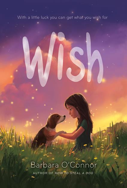 Wish - Barbara O'Connor - ebook