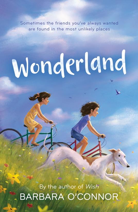 Wonderland - Barbara O'Connor - ebook