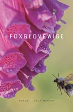 Foxglovewise