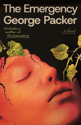 The Emergency - George Packer - cover