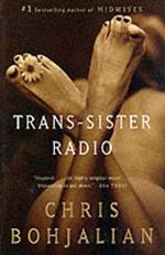 Trans-Sister Radio