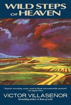 Wild Steps of Heaven - Victor Villasenor - cover
