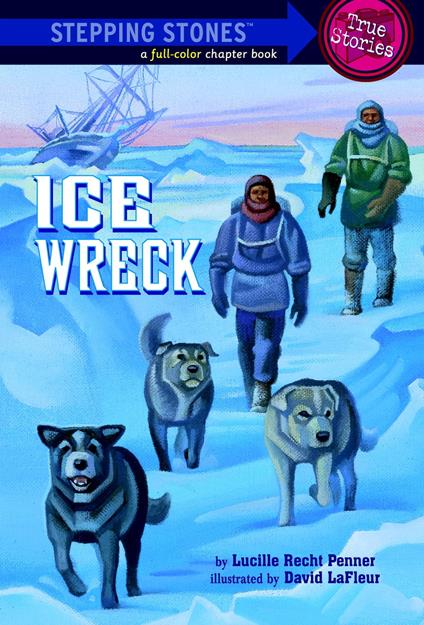 Ice Wreck - Lucille Recht Penner - ebook
