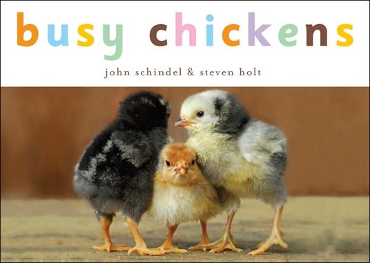 Busy Chickens - John Schindel,Steven Holt - ebook