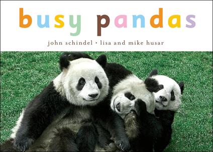 Busy Pandas - John Schindel,Lisa Husar,Mike Husar - ebook