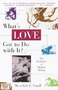 What's Love Got to Do with It?: The Evolution of Human Mating - Meredith Small - cover