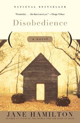 Disobedience: A Novel - Jane Hamilton - cover