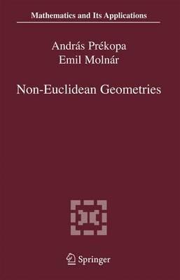 Non-Euclidean Geometries: János Bolyai Memorial Volume - cover